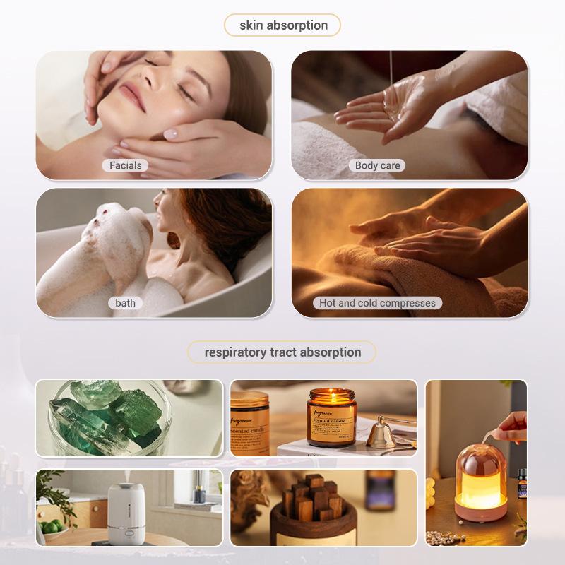 น้ำมันหอมระเหย 10 มล. กล่องของ - Soap Making Ingredient บทวิจารณ์และราคา